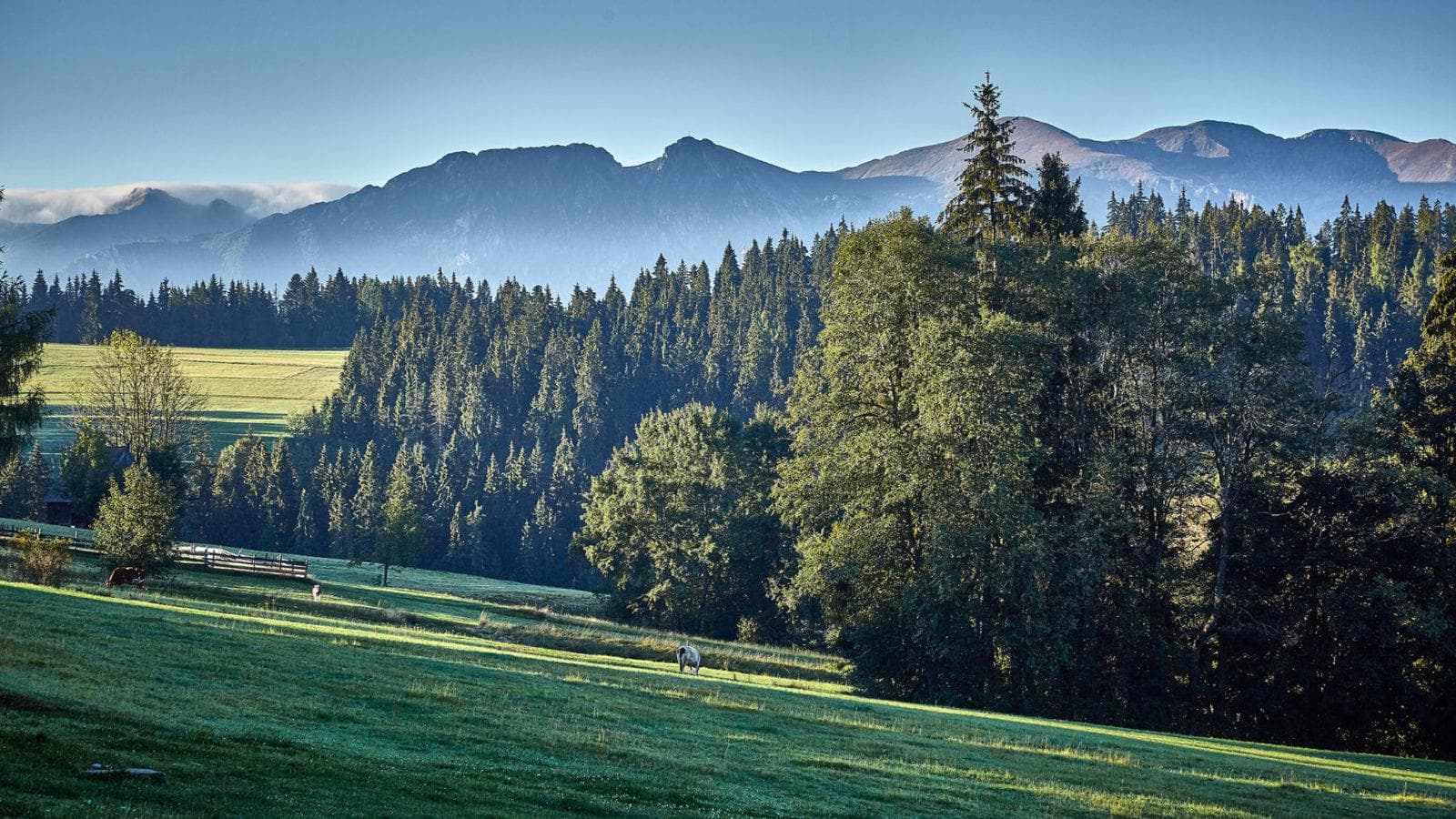 Panorama domków w zimowej scenerii